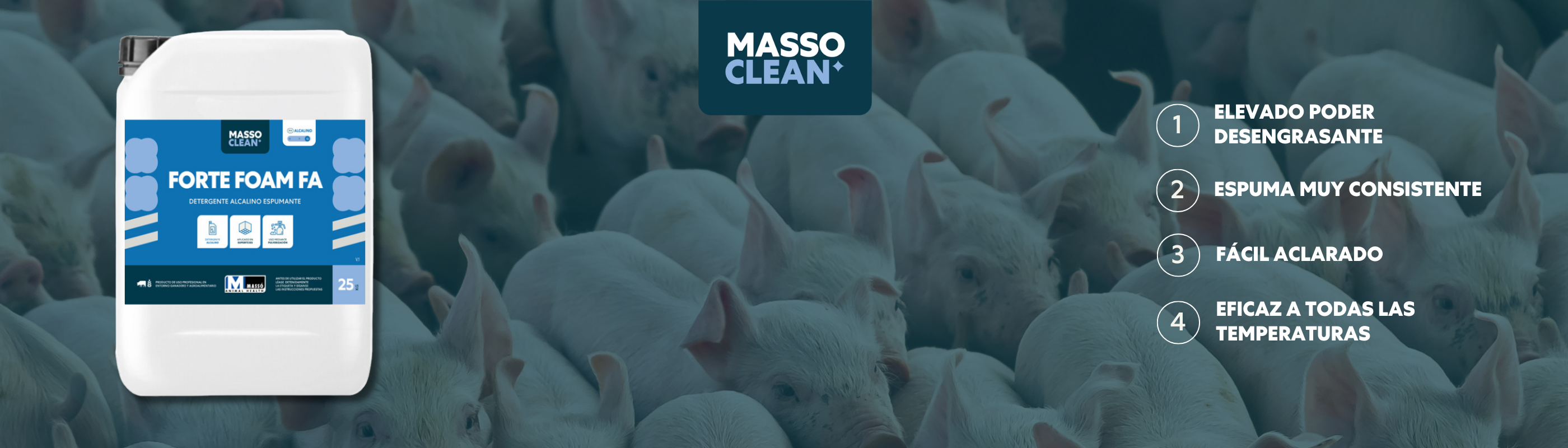 <i style="     font-size: 2rem; ">MASSOCLEAN</i><br><strong>FORTE FOAM FA</strong>